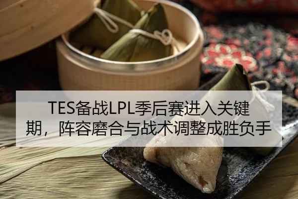 TES备战LPL季后赛进入关键期，阵容磨合与战术调整成胜负手